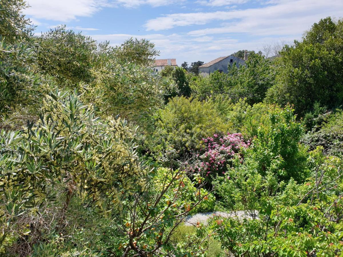 Apartments Stella Apsyrtides Osor Εξωτερικό φωτογραφία